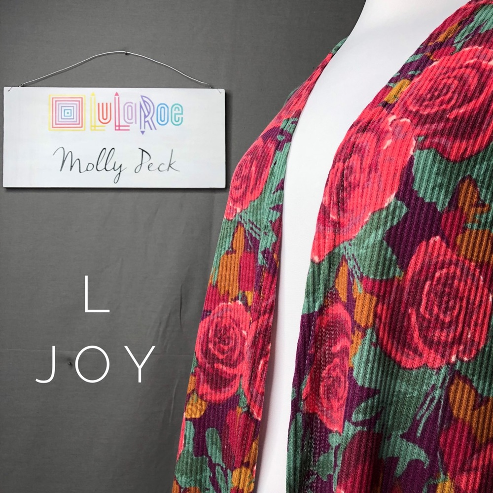LuLaRoe Joy Vest